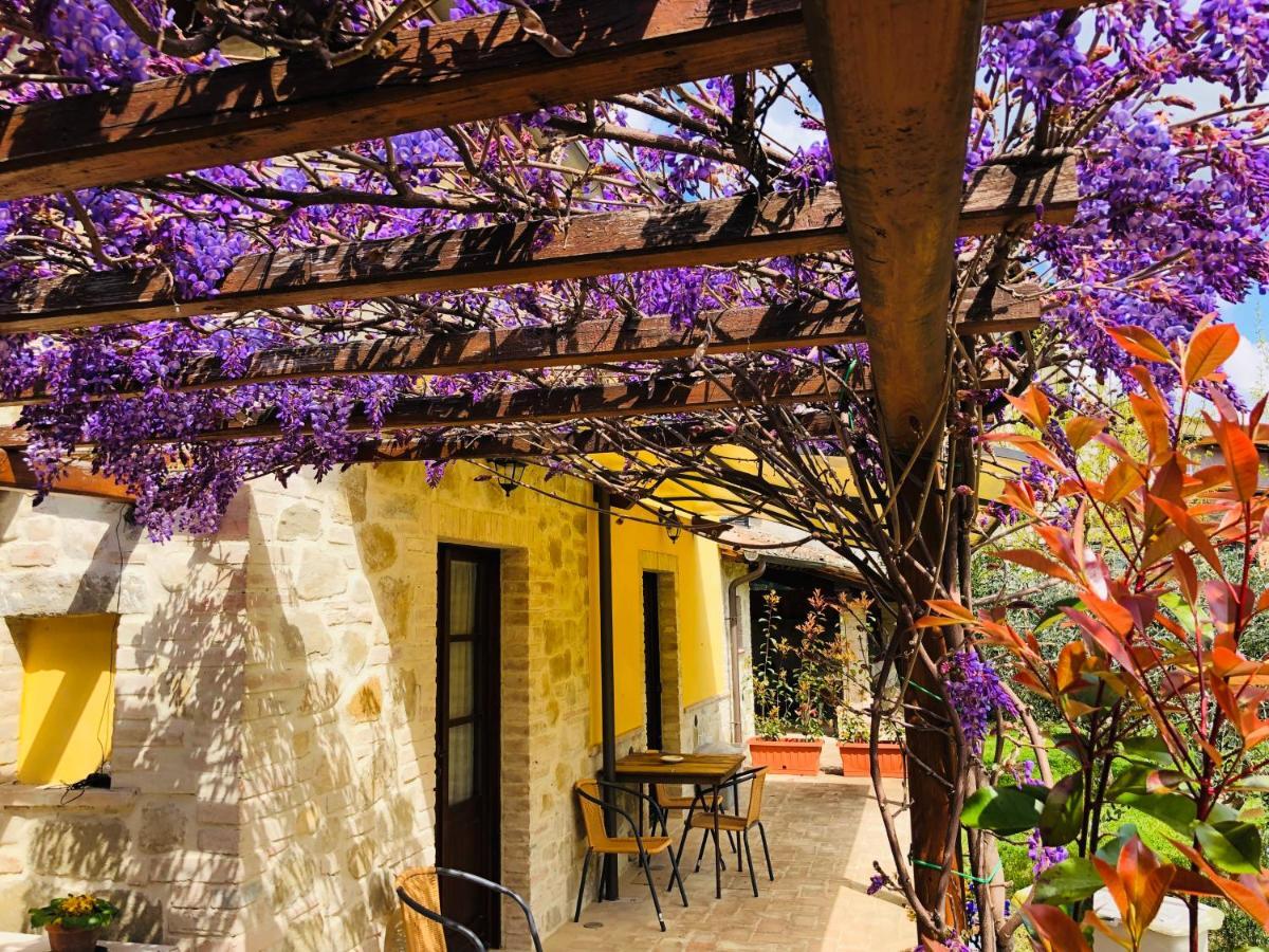 Il Cortile Delle Rose Holiday House Perugia Ngoại thất bức ảnh
